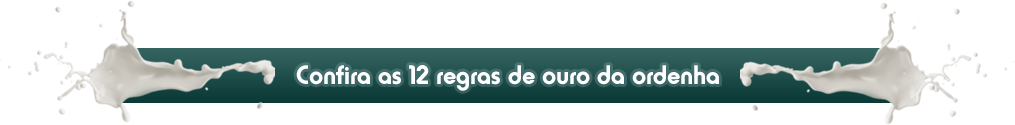 ordenha de vaca